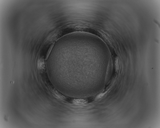 X0000092050137200709121219