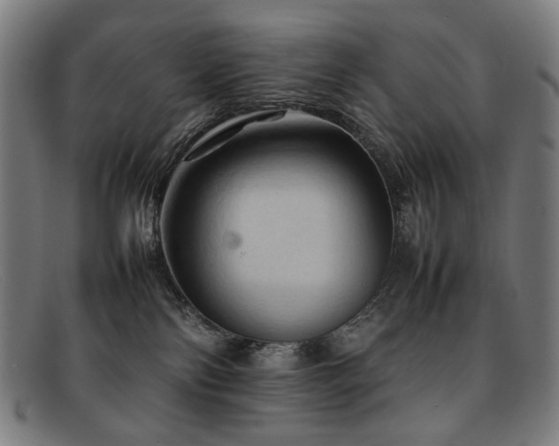 X0000092050138200709121219