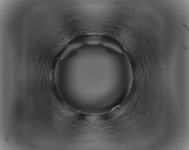 X0000092050139200709121219