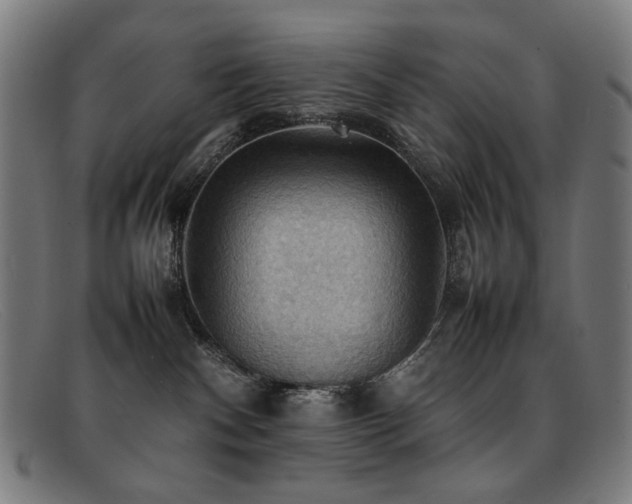 X0000092050140200709121219