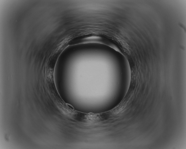 X0000092050141200709121219