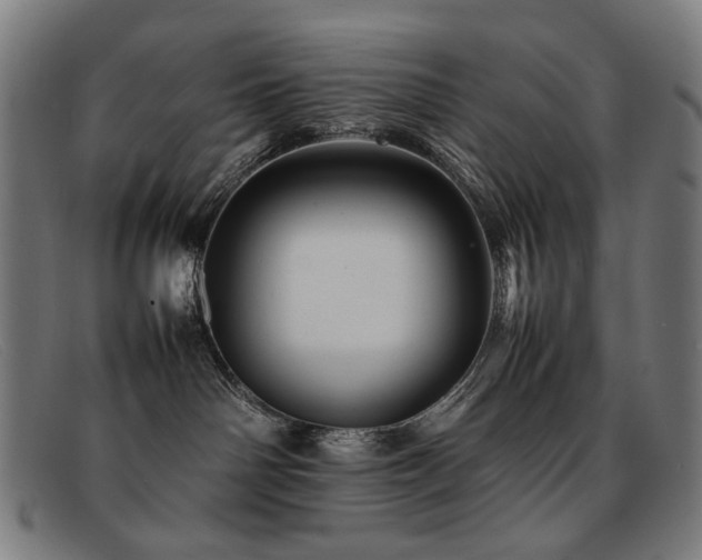 X0000092050142200709121219