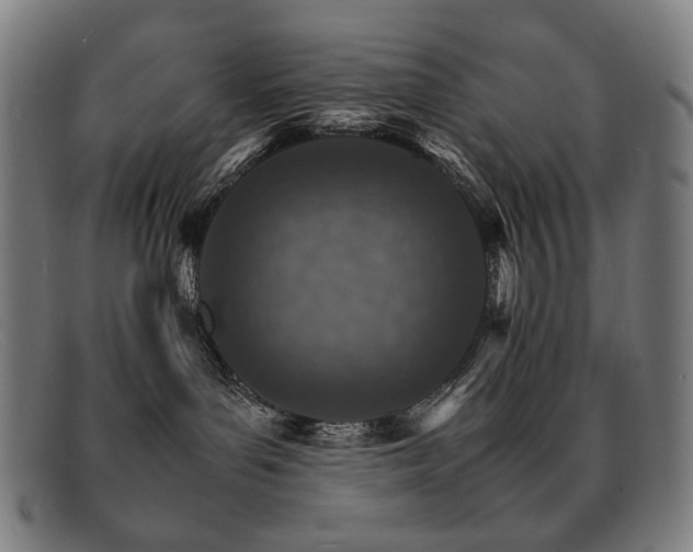 X0000092050143200709121219