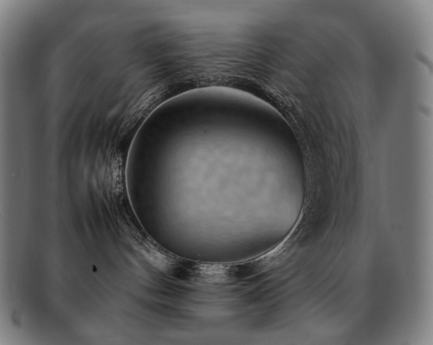 X0000092050144200709121219