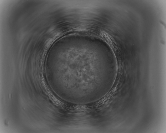 X0000092050145200709121219