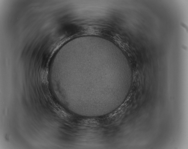 X0000092050146200709121219