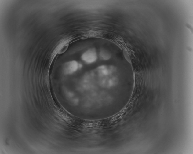 X0000092050147200709121219