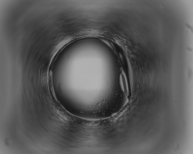 X0000092050148200709121219