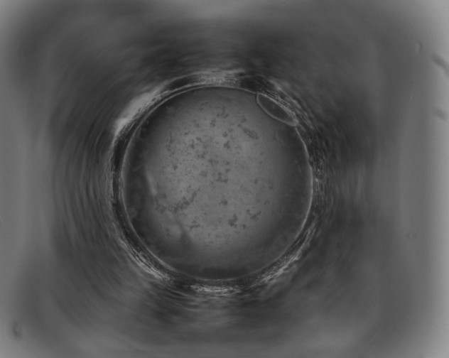 X0000092050149200709121219