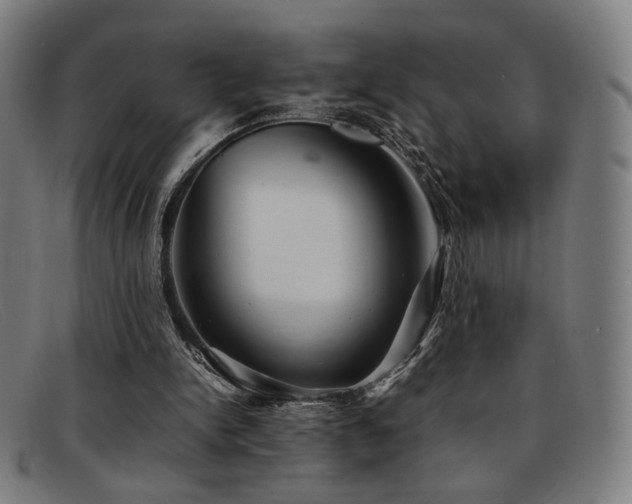 X0000092050150200709121219