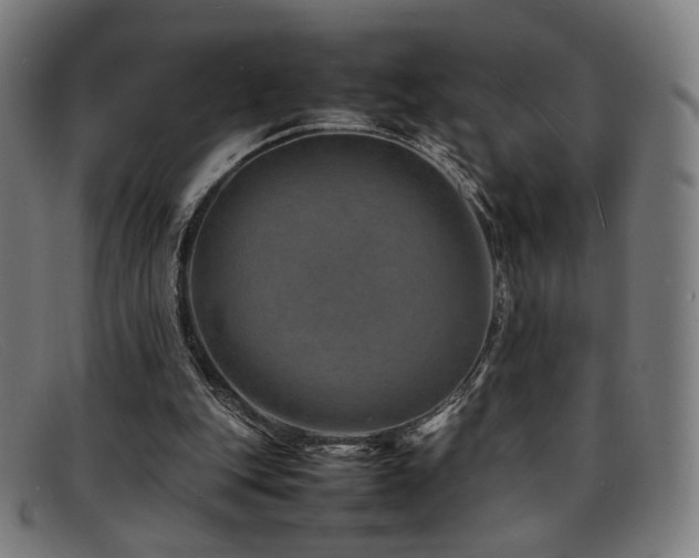 X0000092050151200709121219