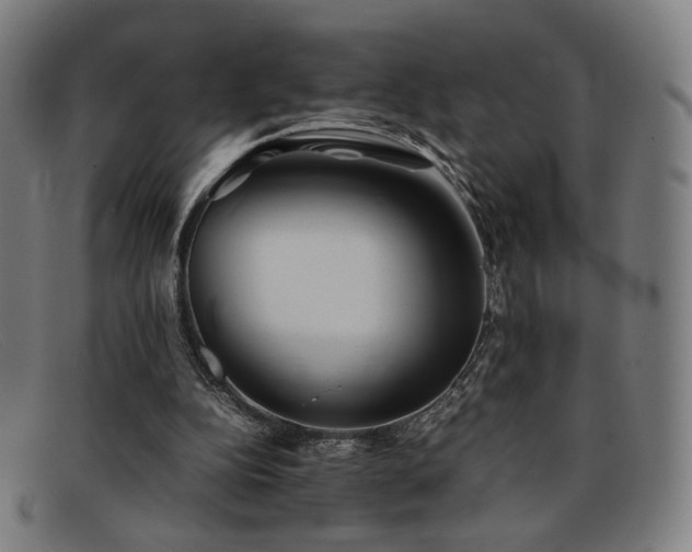 X0000092050152200709121219