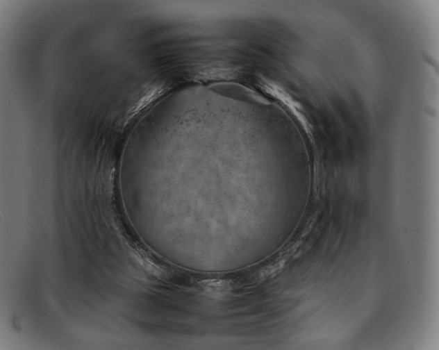 X0000092050153200709121219