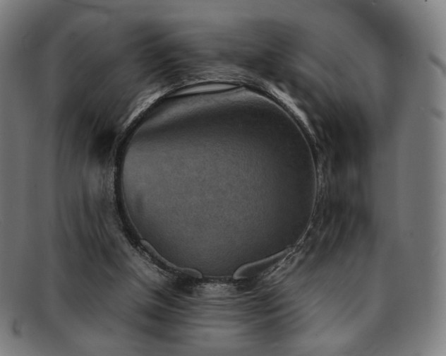 X0000092050154200709121219