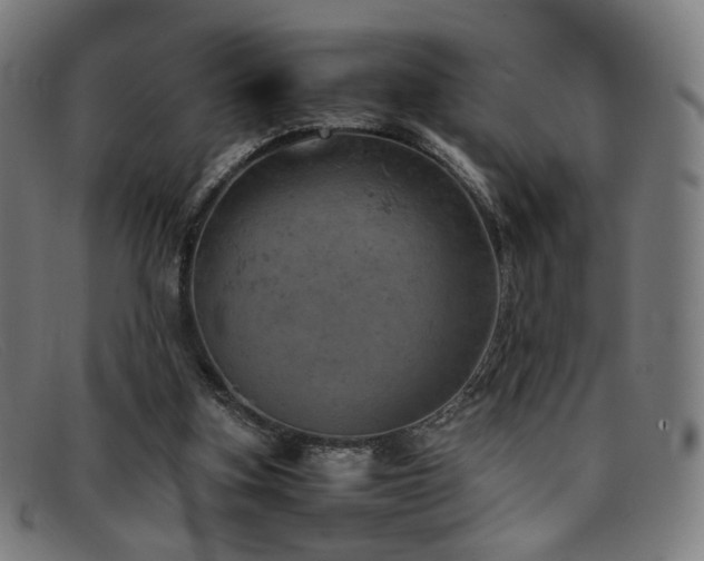 X0000092050155200709121219