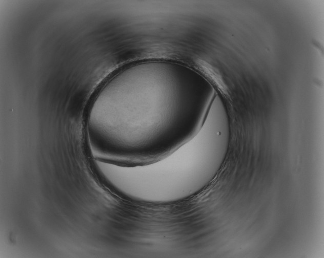 X0000092050156200709121219