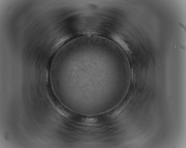 X0000092050157200709121219