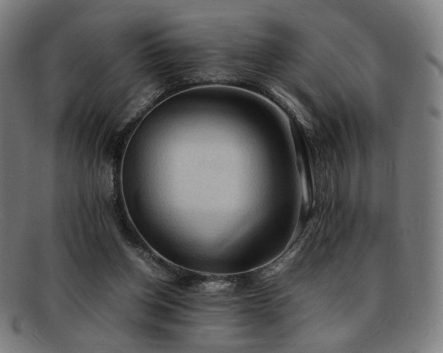 X0000092050158200709121219