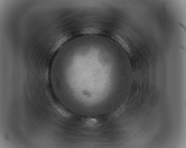 X0000092050159200709121219