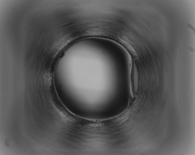 X0000092050160200709121219