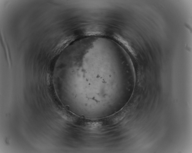 X0000092050161200709121219