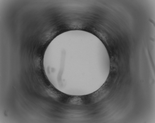 X0000092050162200709121219