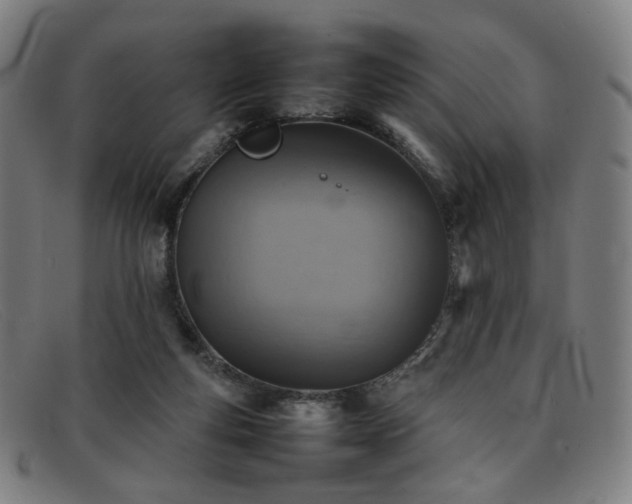 X0000092050163200709121219