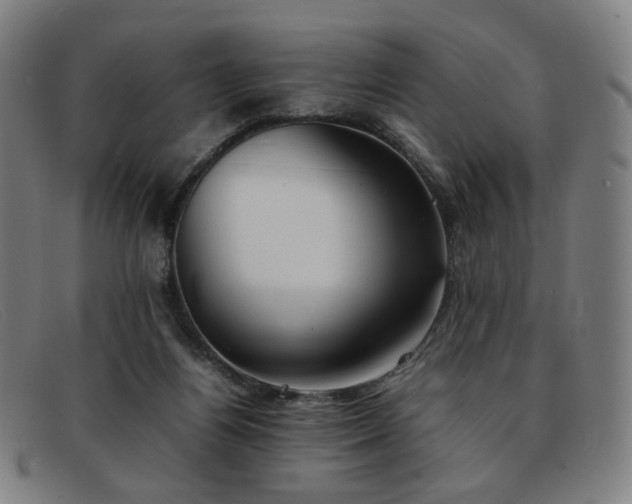 X0000092050164200709121219