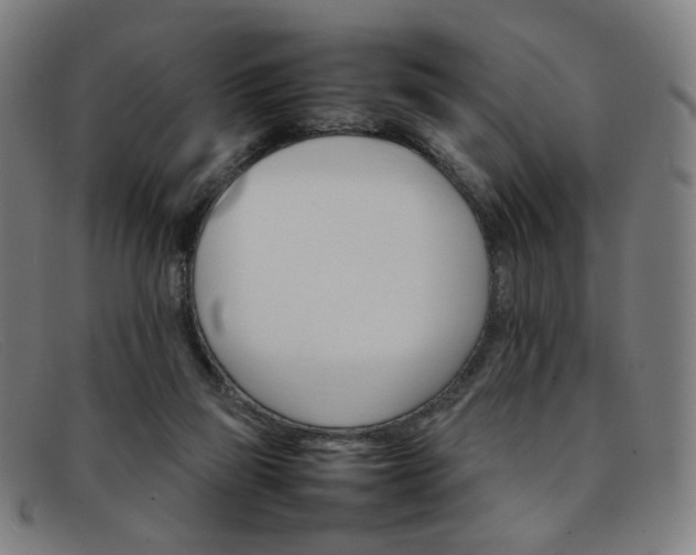 X0000092050165200709121219