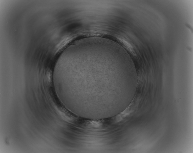 X0000092050166200709121219