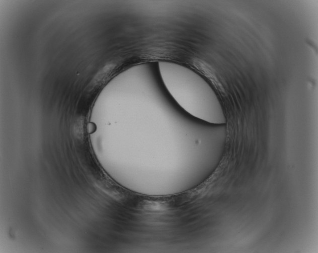 X0000092050167200709121219