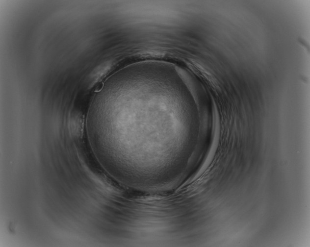 X0000092050168200709121219