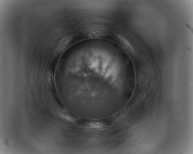 X0000092050169200709121219