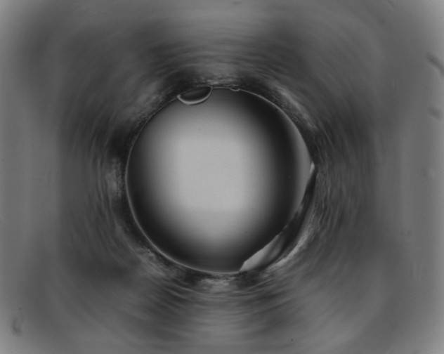 X0000092050170200709121219