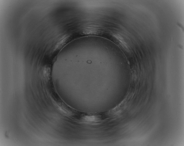 X0000092050171200709121219