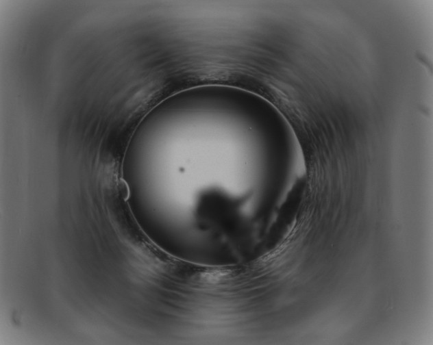 X0000092050172200709121219