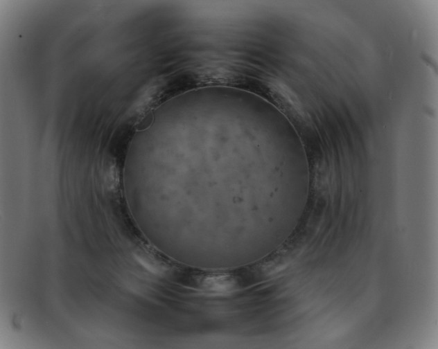 X0000092050173200709121219