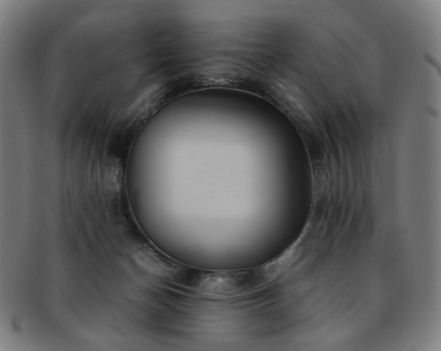 X0000092050174200709121219