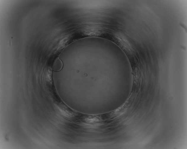 X0000092050175200709121219