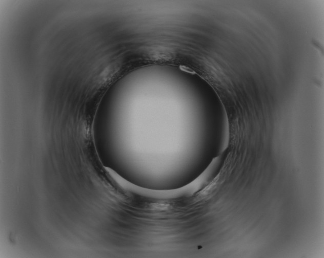 X0000092050176200709121219