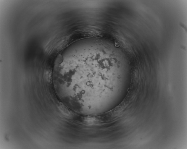 X0000092050177200709121219