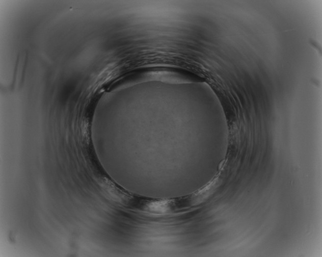 X0000092050178200709121219