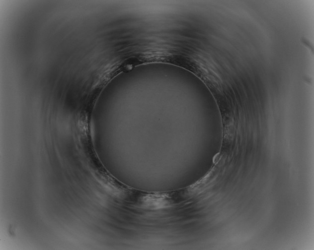 X0000092050179200709121219