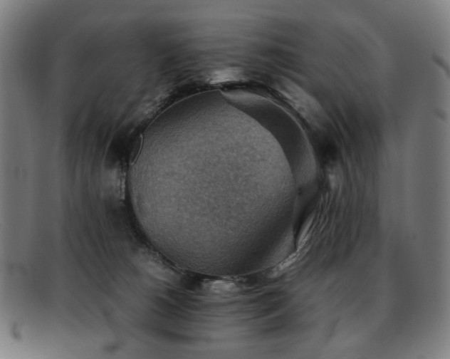 X0000092050180200709121219