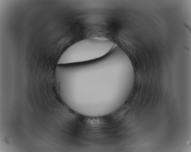 X0000092050181200709121219