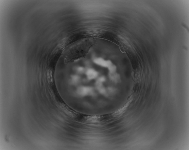 X0000092050182200709121219