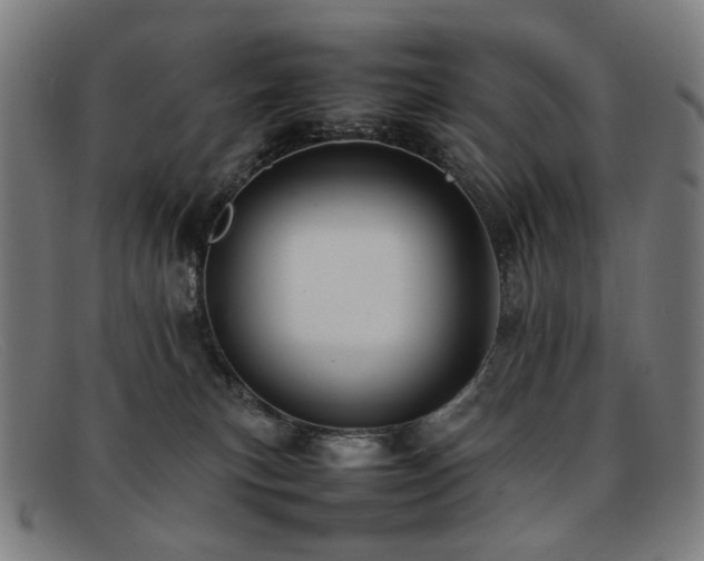 X0000092050183200709121219