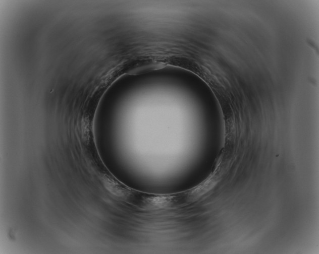 X0000092050184200709121219