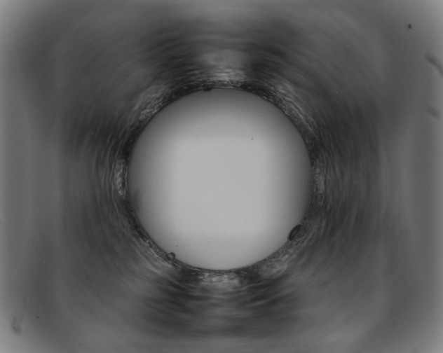 X0000092050185200709121219