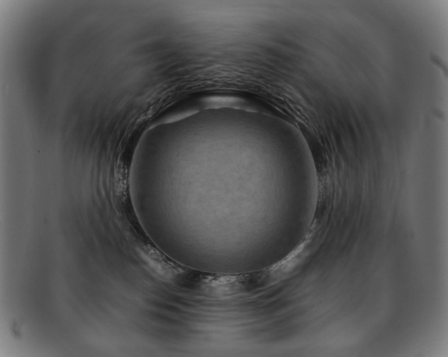 X0000092050186200709121219